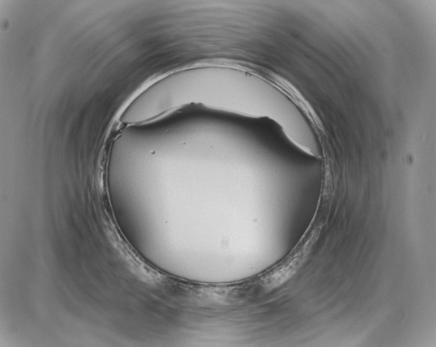 X0000086090908200704202213