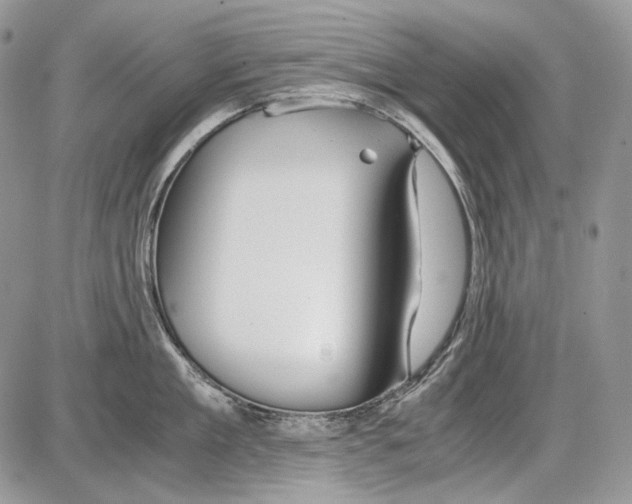 X0000086090909200704202213