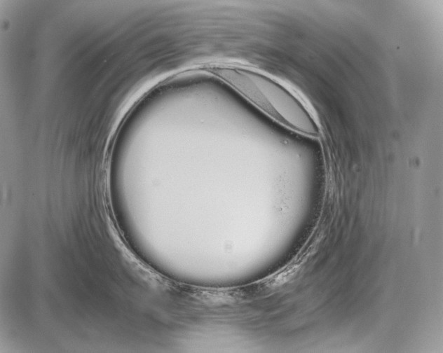 X0000086090911200704202213