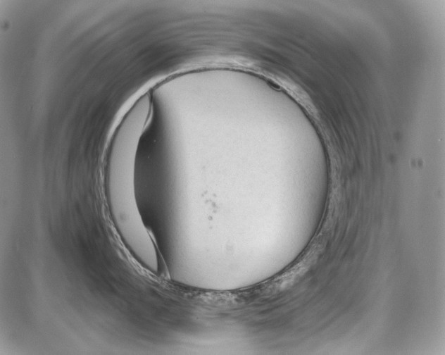 X0000086090912200704202213