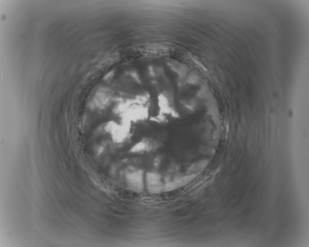 X0000086090913200704202212