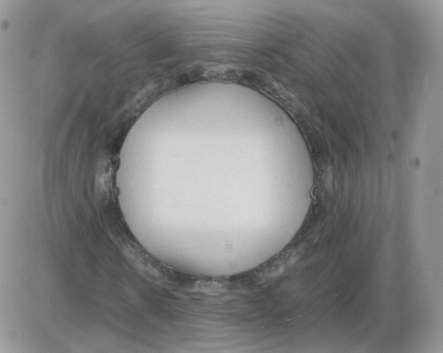 X0000086090914200704202212