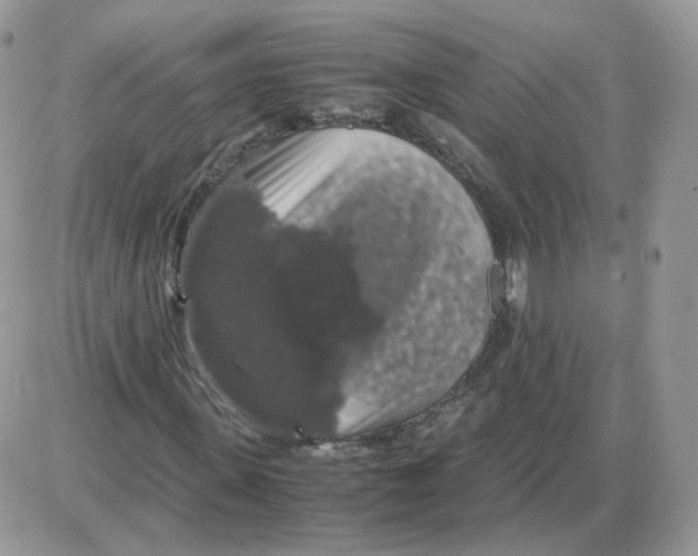 X0000086090915200704202212