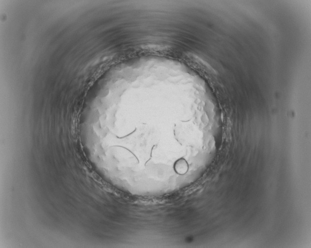 X0000086090917200704202212