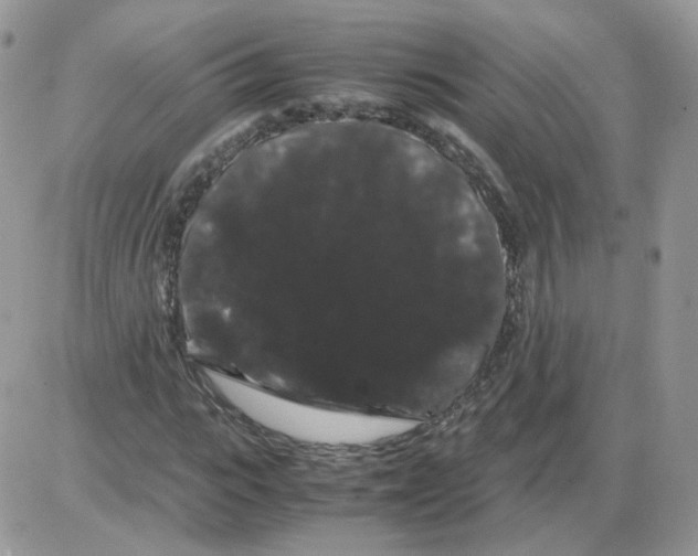 X0000086090919200704202212