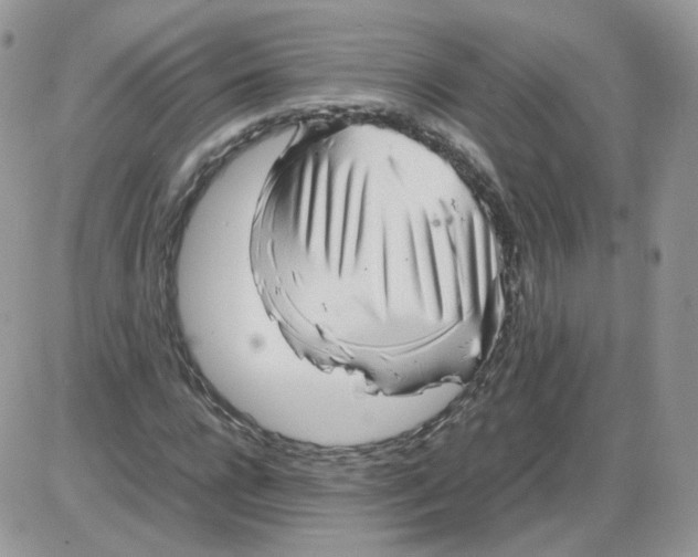 X0000086090920200704202212