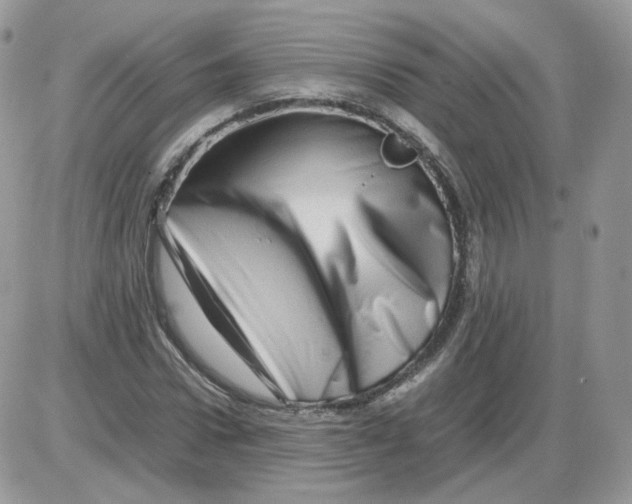 X0000086090922200704202212