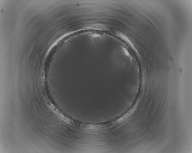 X0000086090923200704202212