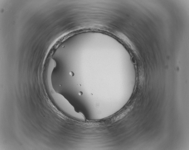 X0000086090924200704202212