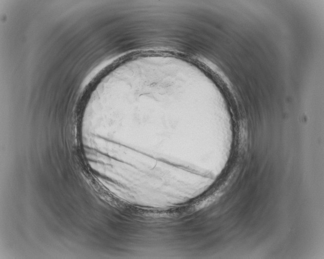 X0000086090925200704202212