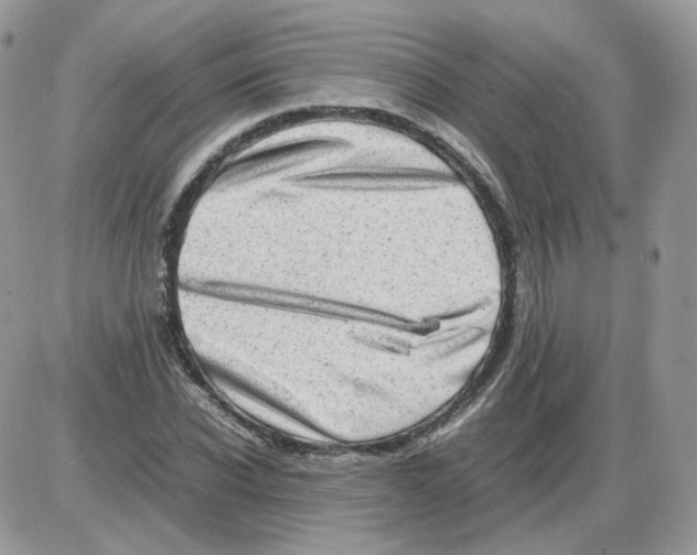 X0000086090926200704202212