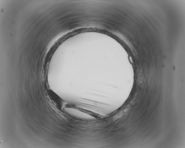 X0000086090927200704202212