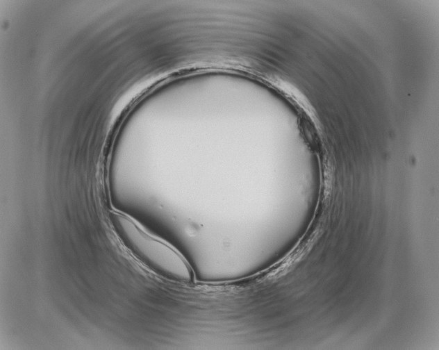 X0000086090928200704202212