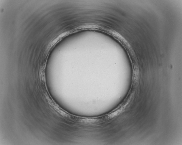 X0000086090929200704202212