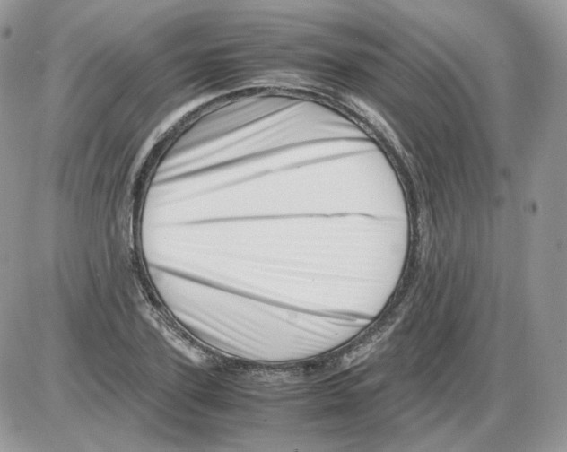 X0000086090931200704202212