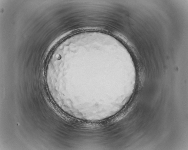 X0000086090933200704202212