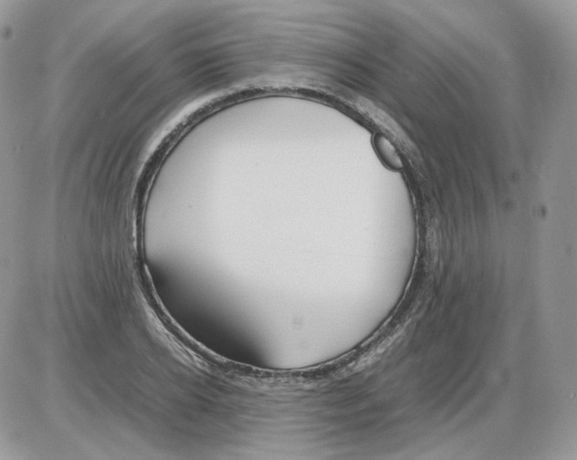 X0000086090934200704202212