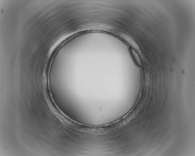 X0000086090936200704202212