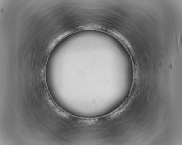 X0000086090937200704202212