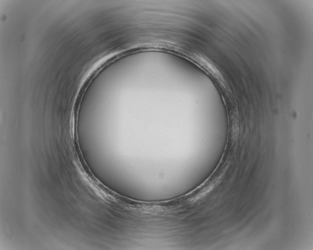 X0000086090940200704202212