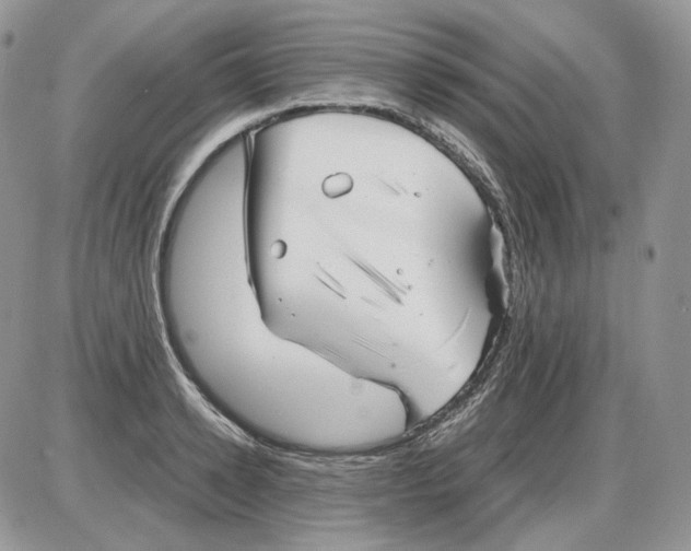 X0000086090942200704202212