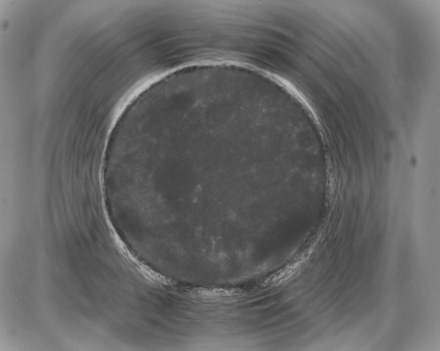 X0000086090943200704202213