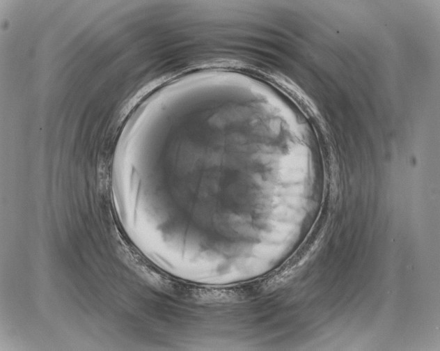 X0000086090945200704202213