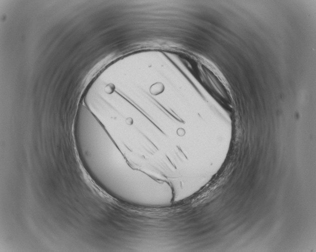 X0000086090946200704202213