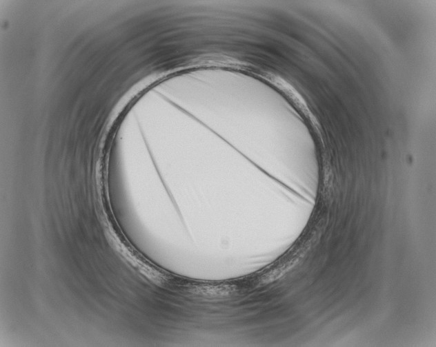 X0000086090947200704202213