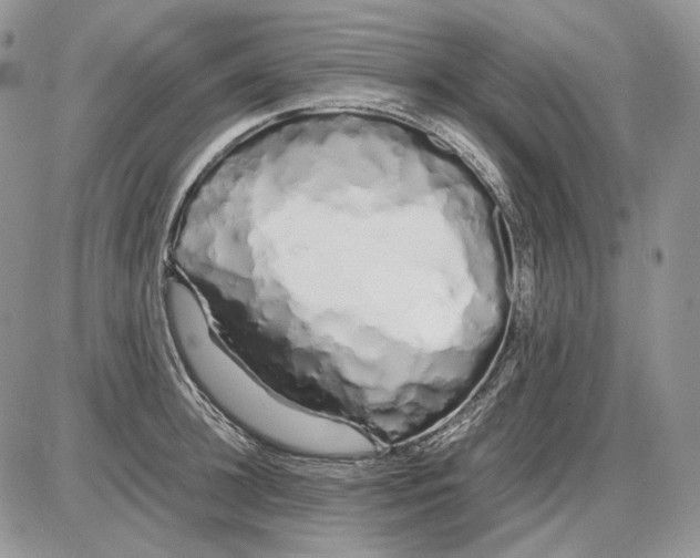 X0000086090948200704202213