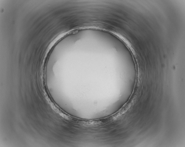 X0000086090949200704202213