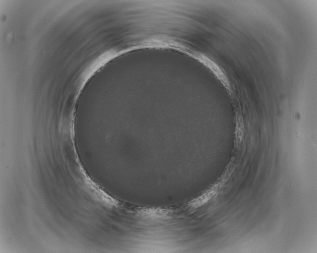 X0000086090950200704202213