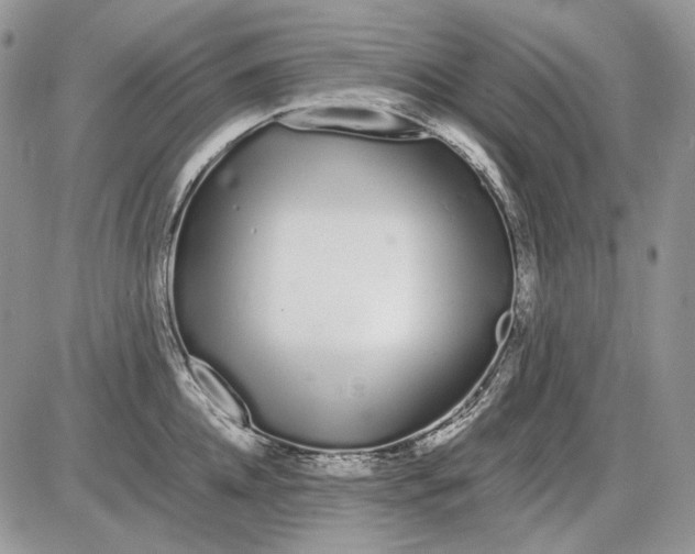 X0000086090952200704202213