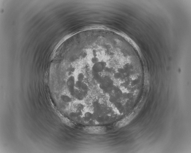 X0000086090953200704202213