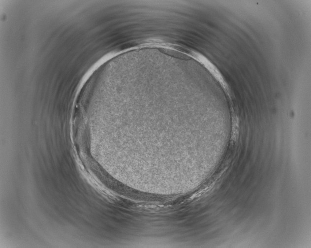 X0000086090955200704202213