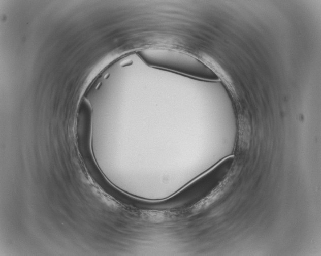 X0000086090956200704202213