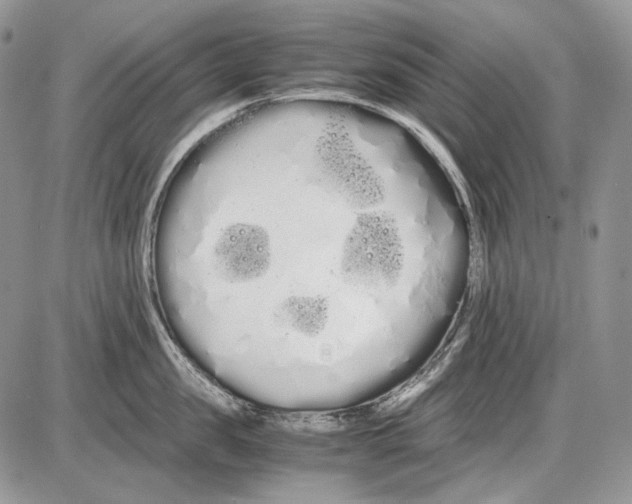 X0000086090957200704202213