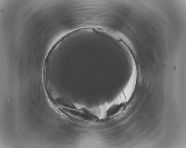 X0000086090958200704202213