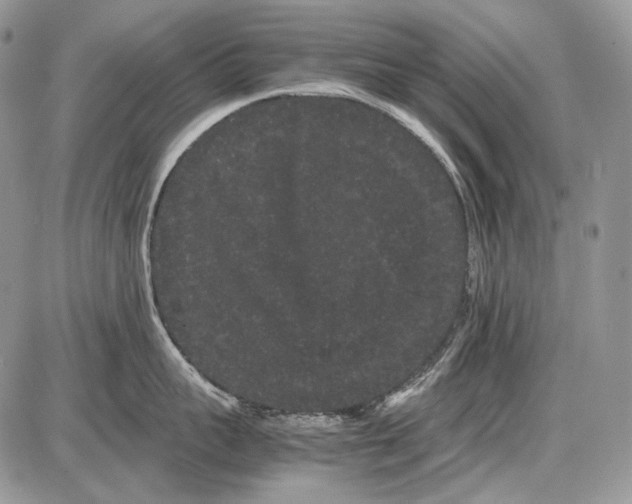 X0000086090959200704202213