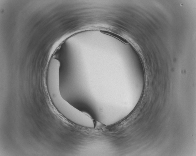 X0000086090960200704202213