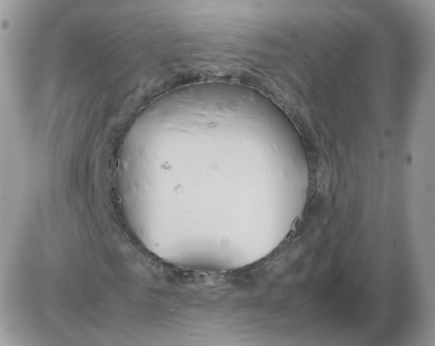 X0000086090961200704202212