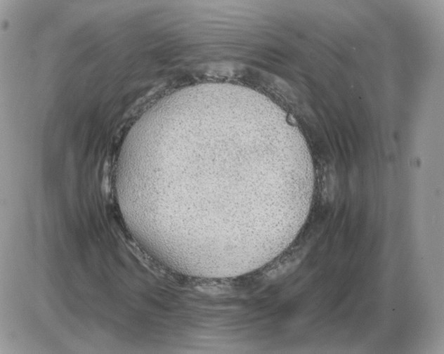 X0000086090962200704202212