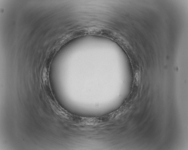 X0000086090963200704202212