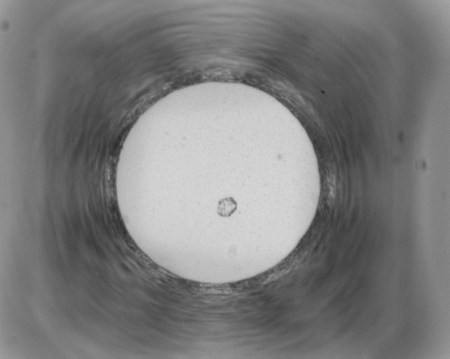 X0000086090964200704202212