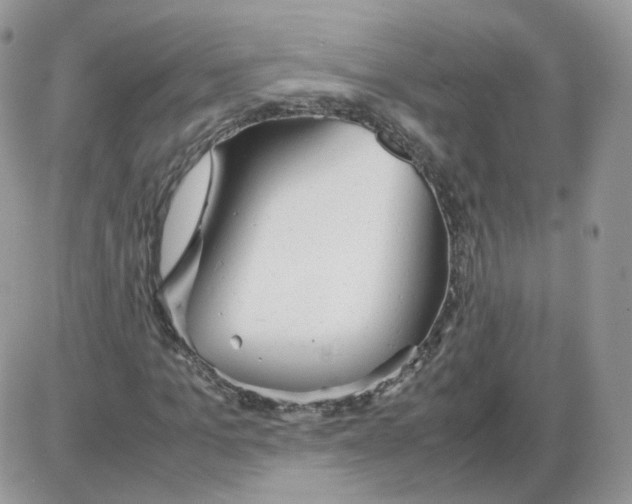 X0000086090965200704202212