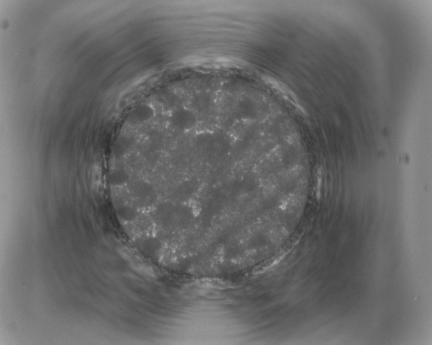 X0000086090966200704202212