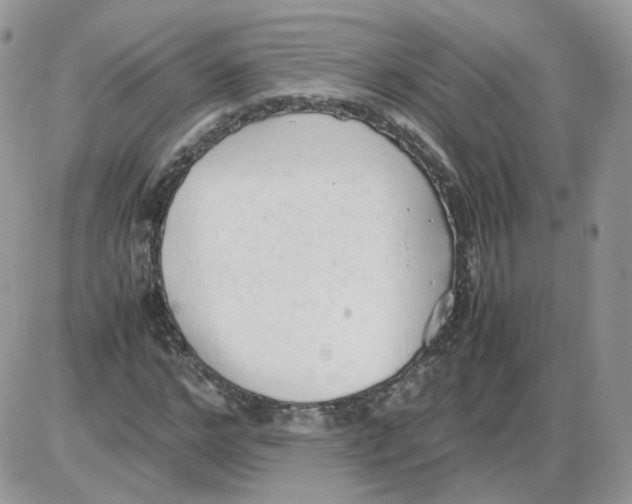 X0000086090968200704202212