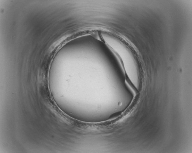 X0000086090969200704202212