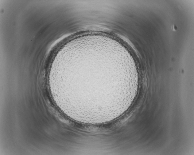 X0000086090971200704202212