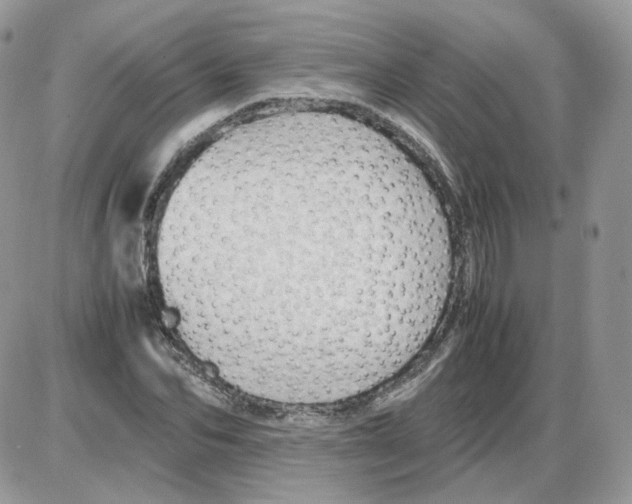 X0000086090974200704202212